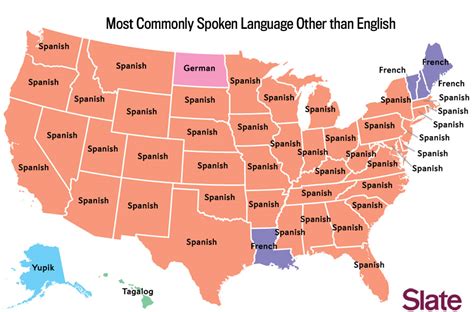 In which Bay Area cities do most people speak another language at home?